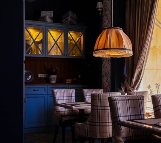 Tolhuistuin Tolhuistuin